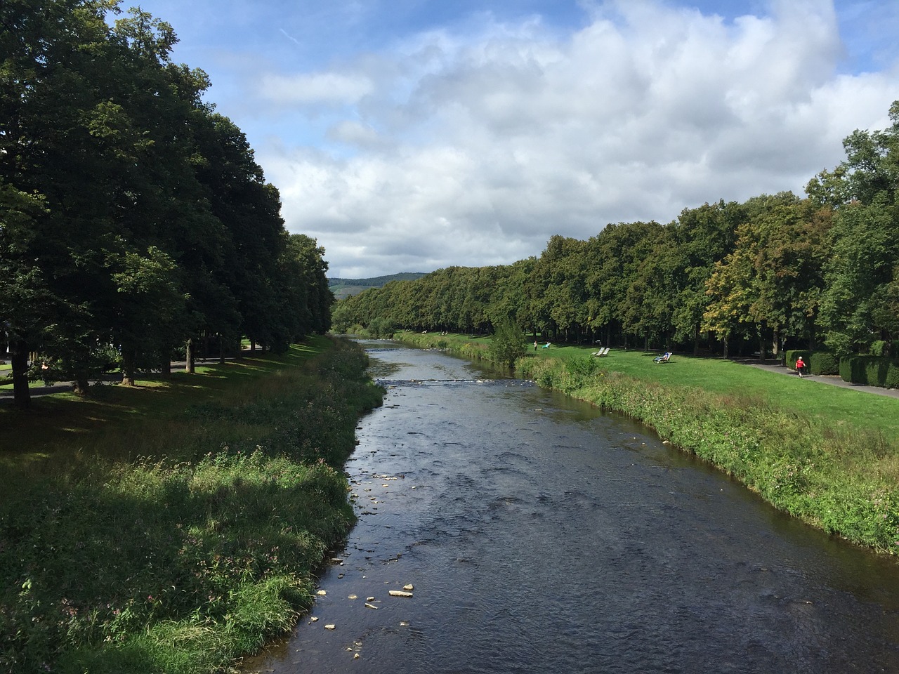 river summer trees free photo