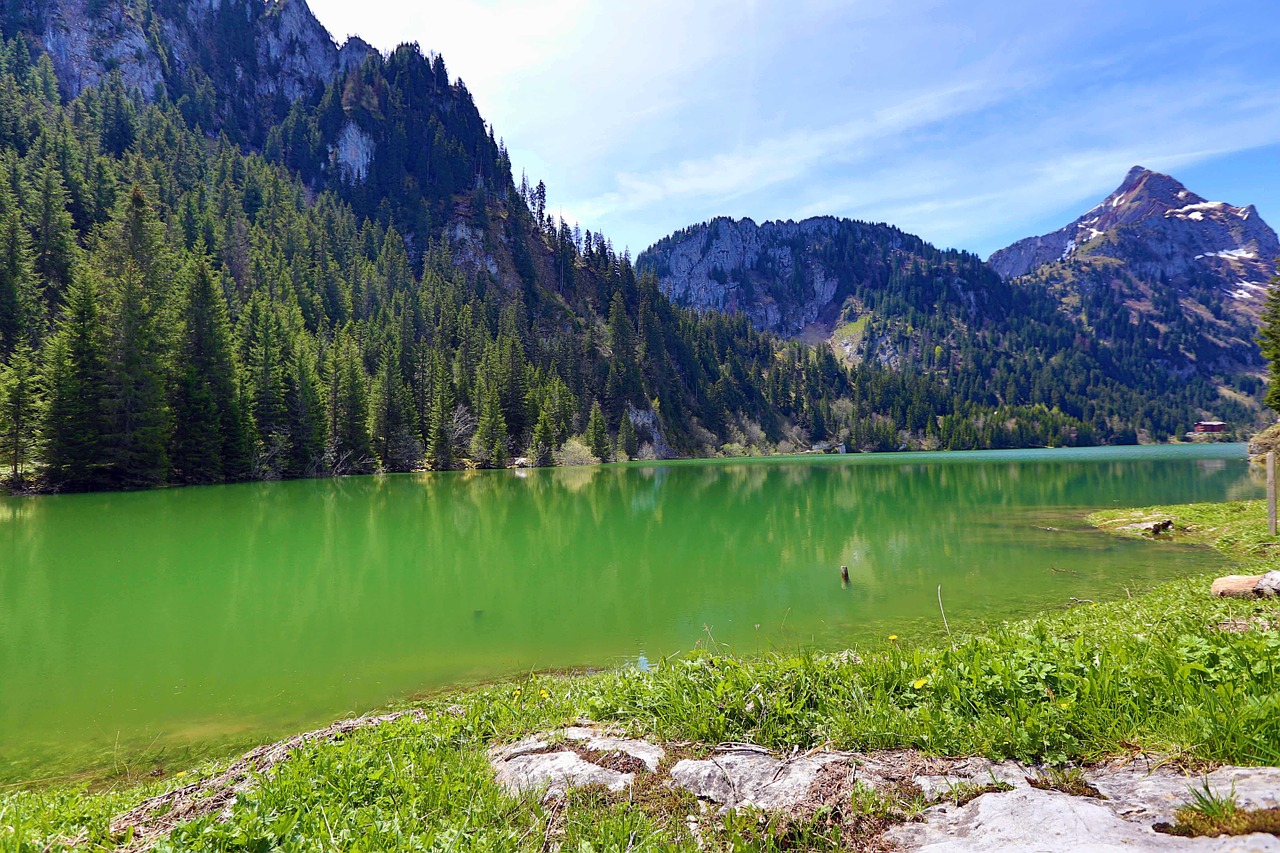 lake mountains green free photo