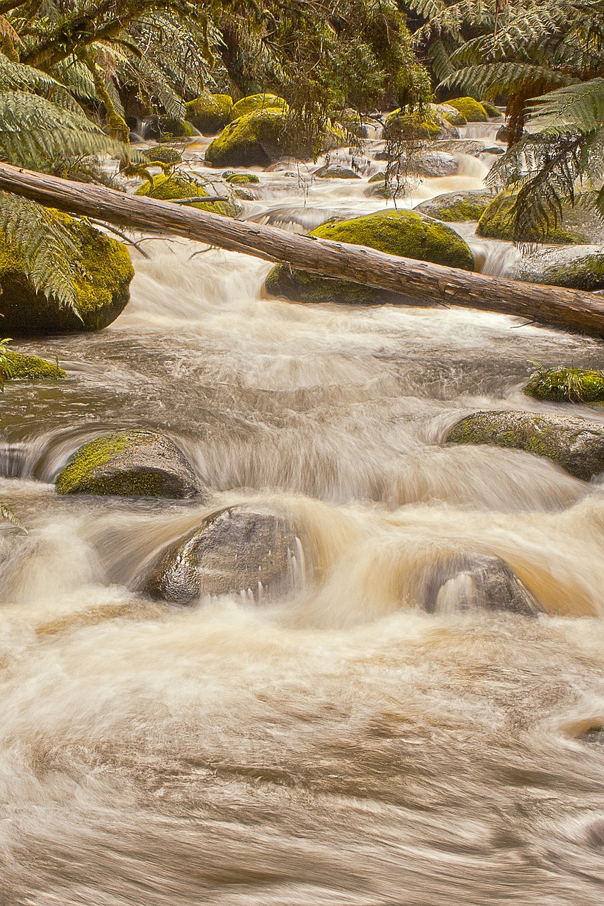 river flowing nature free photo