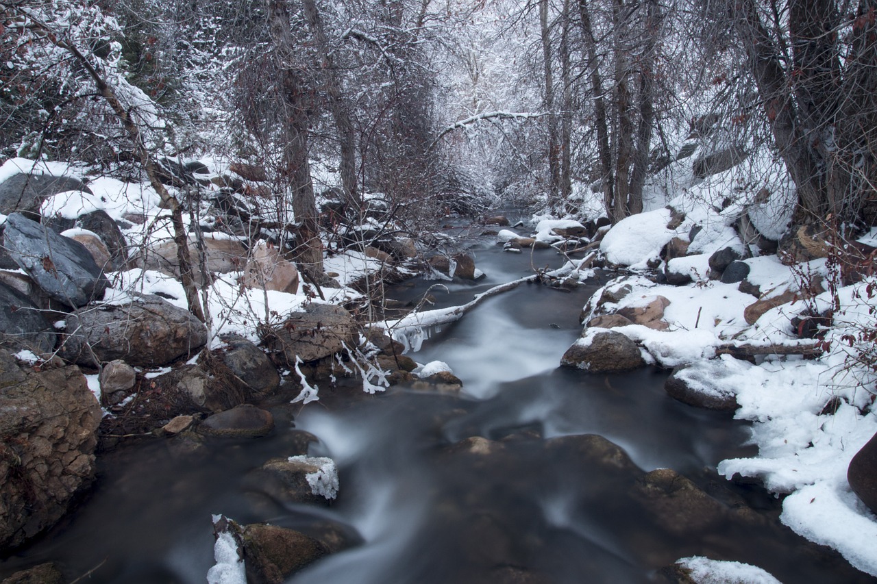 river stream water free photo