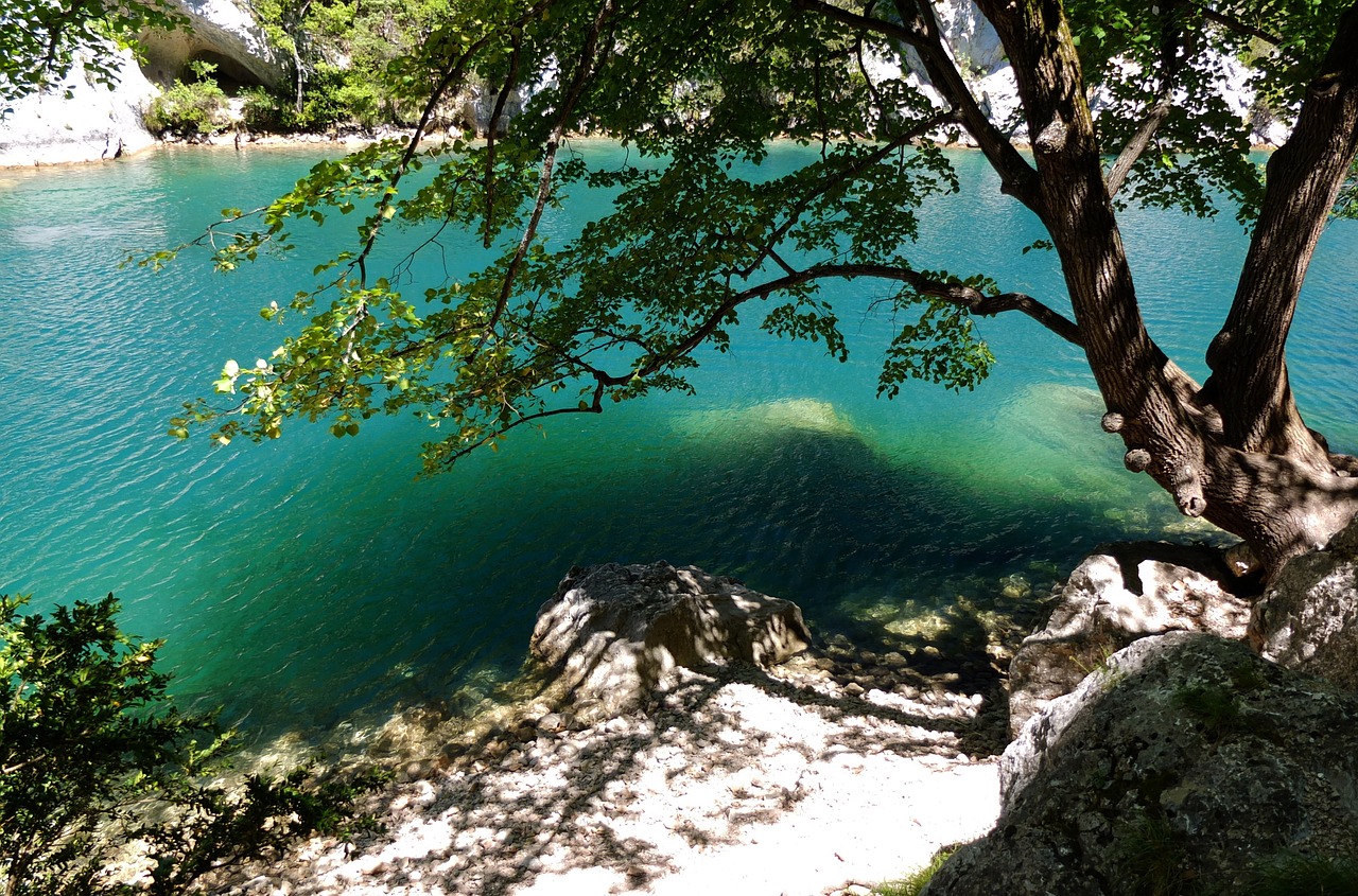 river water canyon free photo