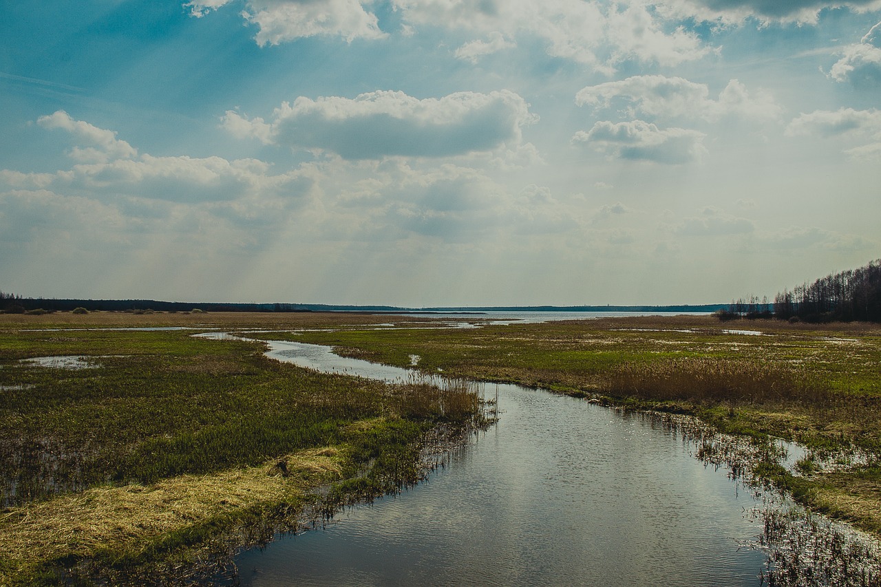 river fields countryside free photo