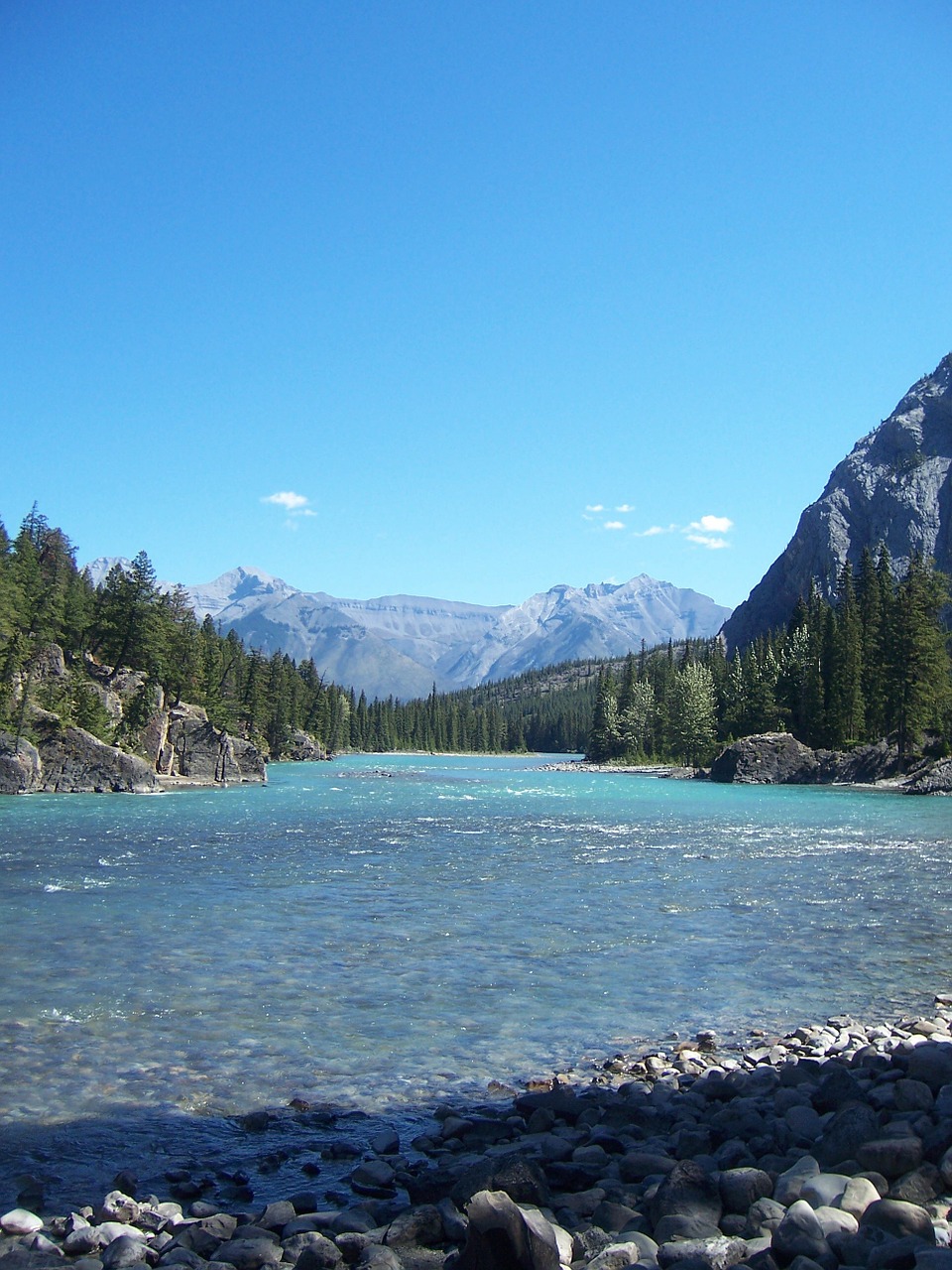 river rocks trees free photo