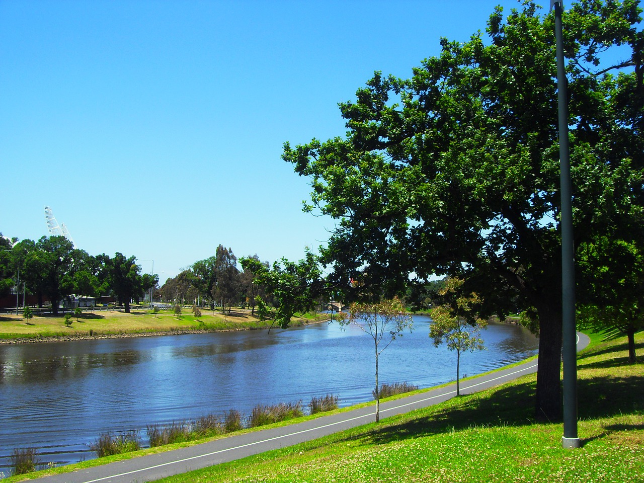 river wood landscape free photo