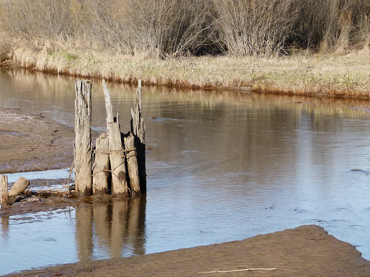 river water wooden poles free photo