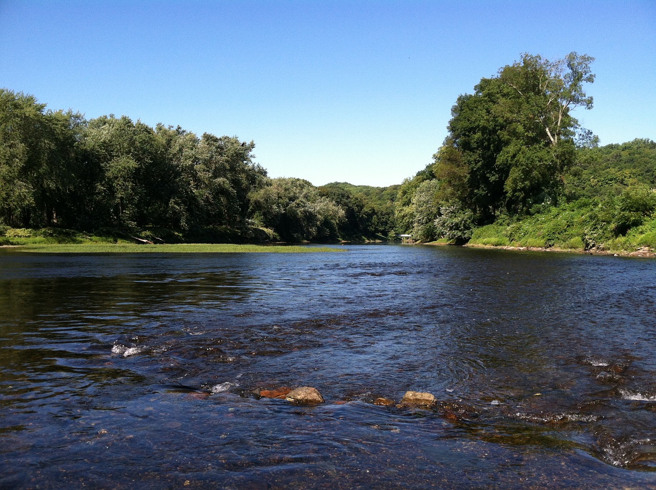 river water summer free photo