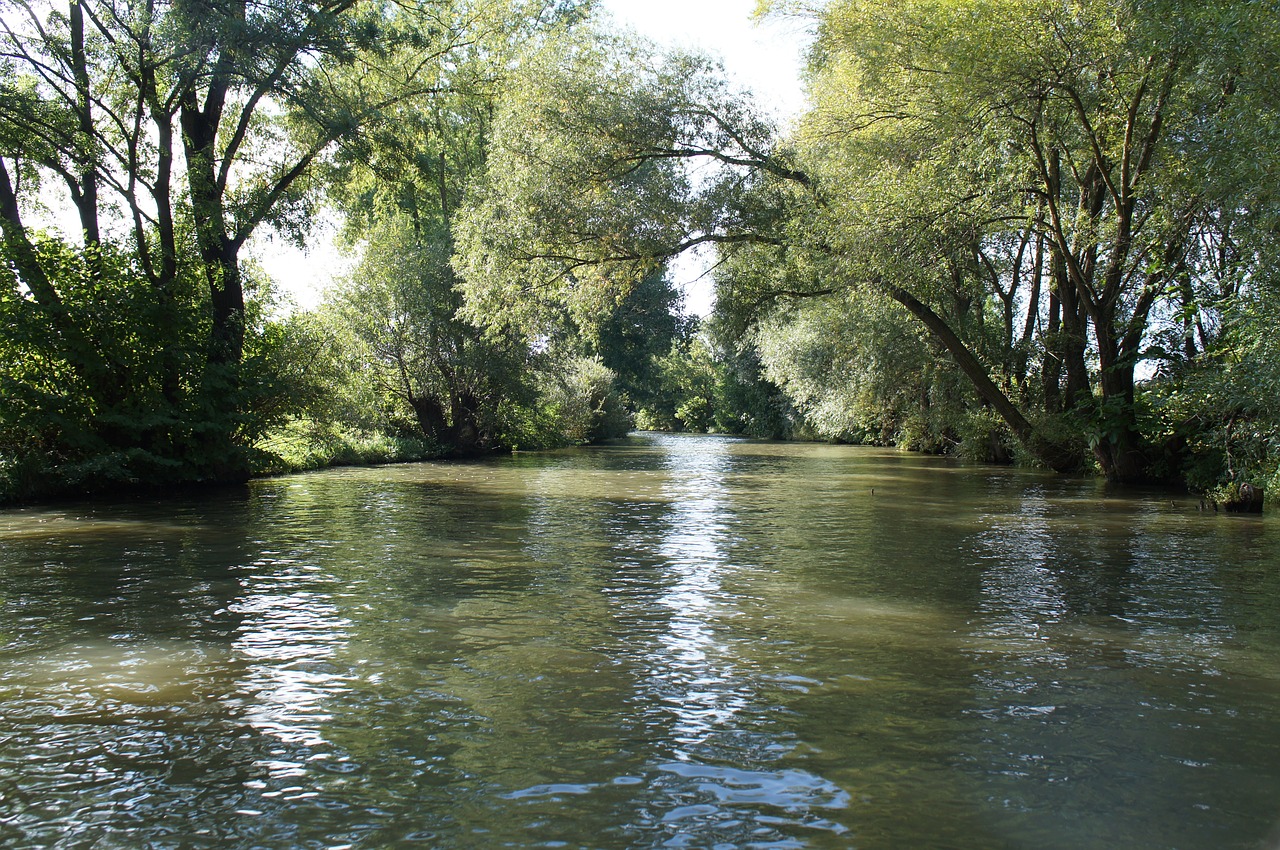 river nature green free photo