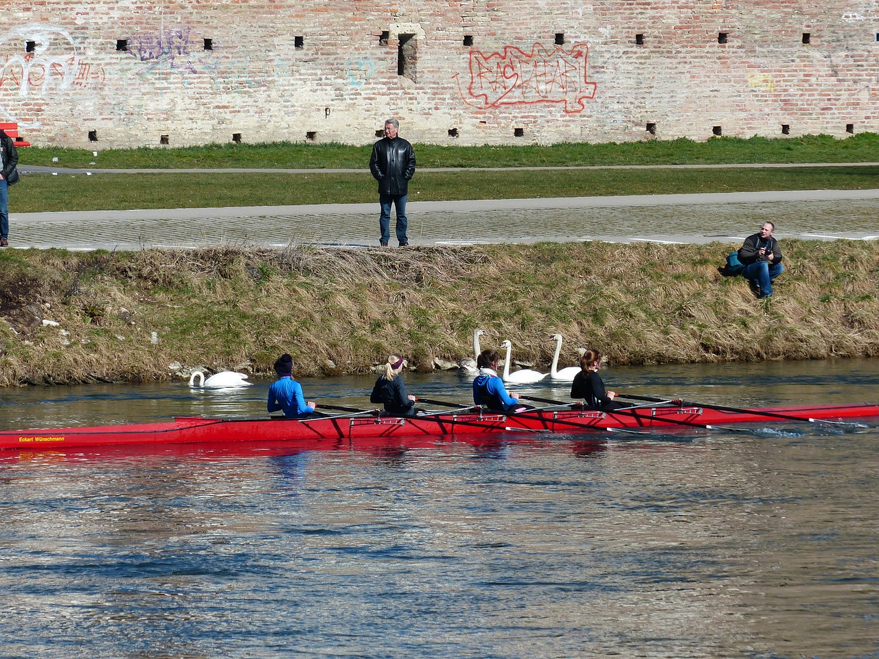 river wall rowing free photo