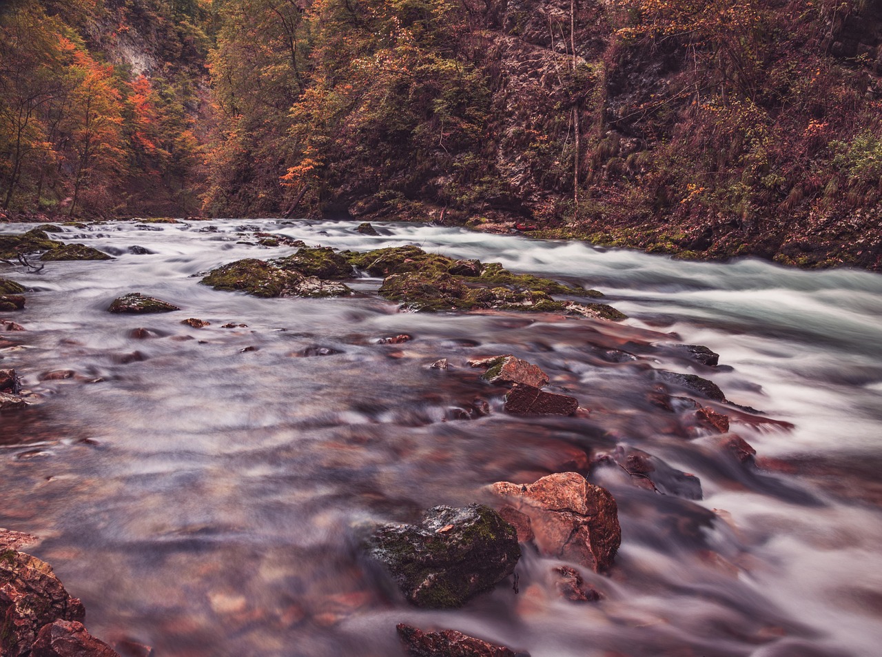 river stream trees free photo