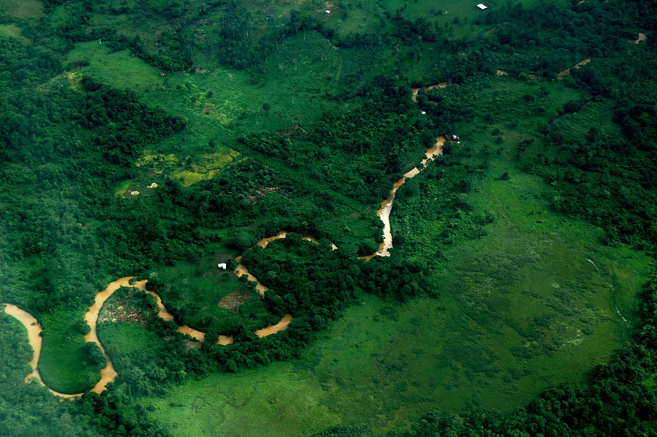 river river loop aerial view free photo