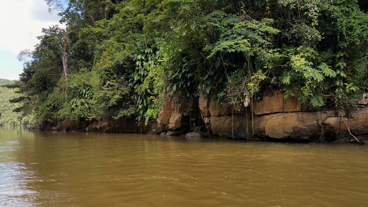 river bank rocks water free photo