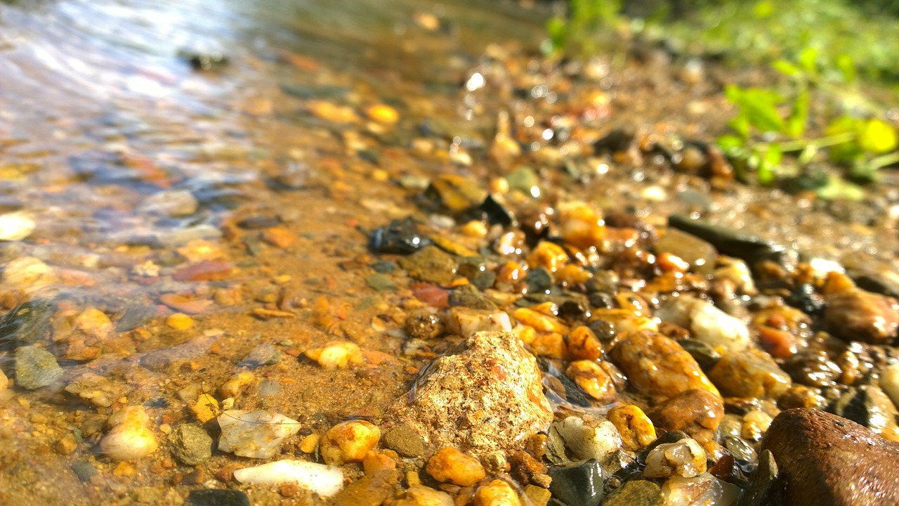 river bank pebbles water free photo