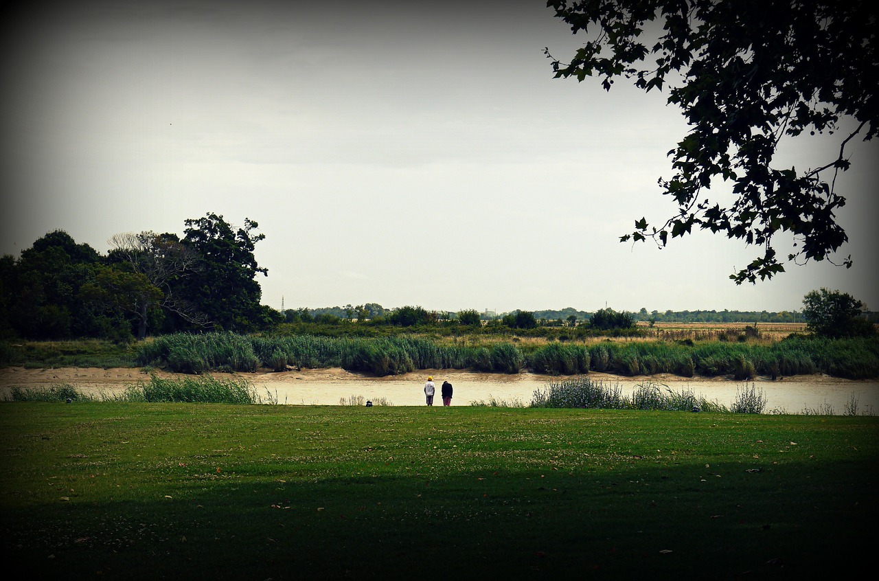 river bed riverside river free photo