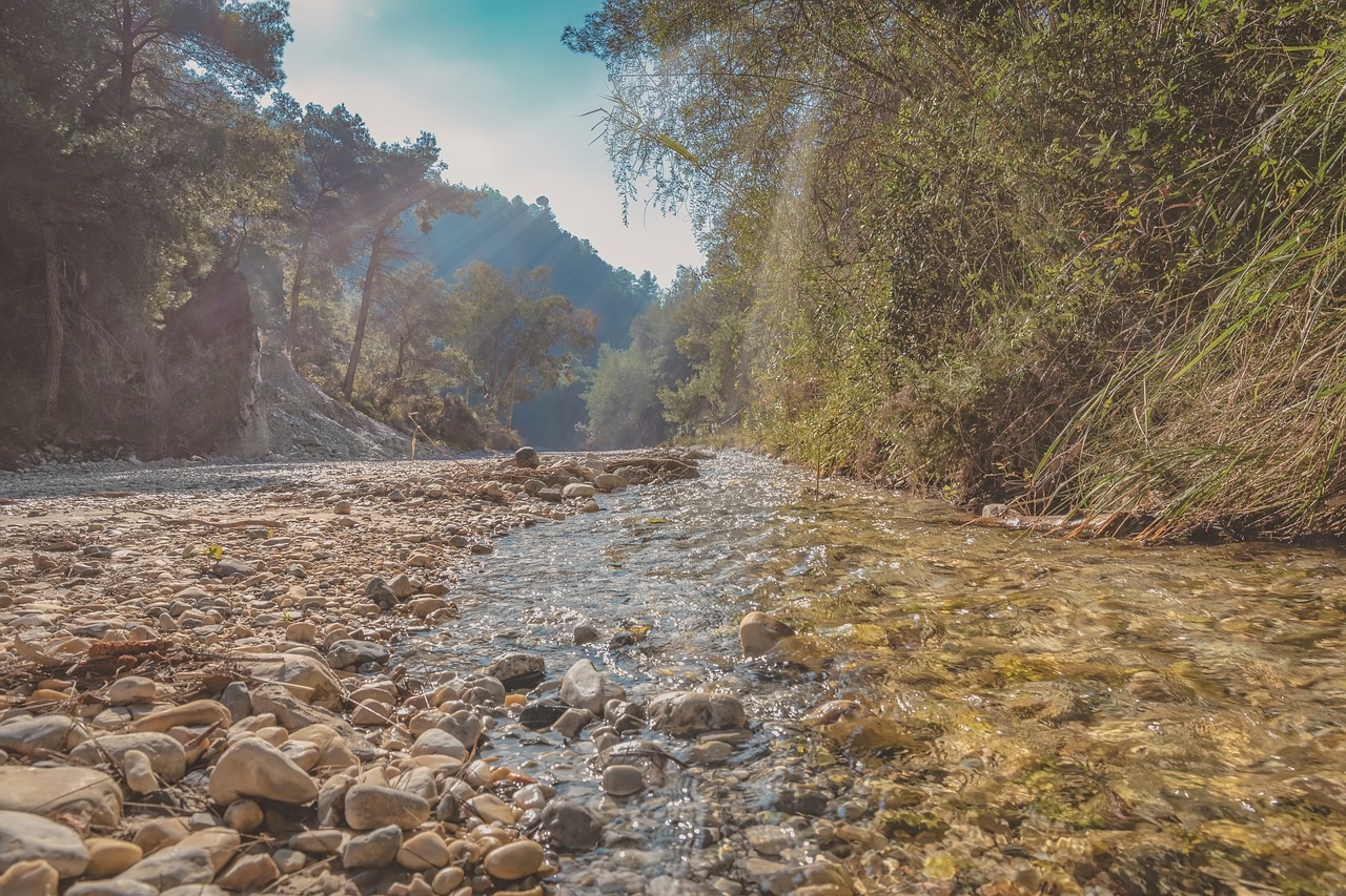 river bed  sun rays  water free photo