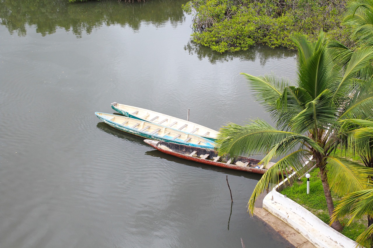 river boats tropics river free photo