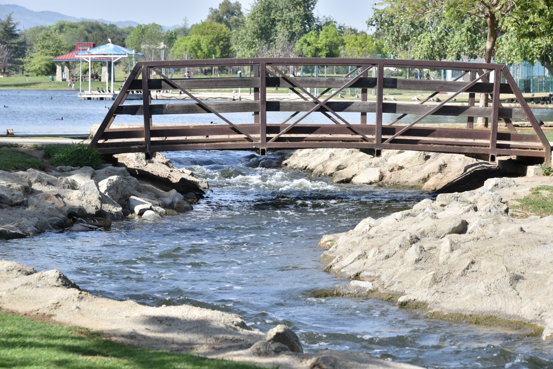 river bridge water free photo