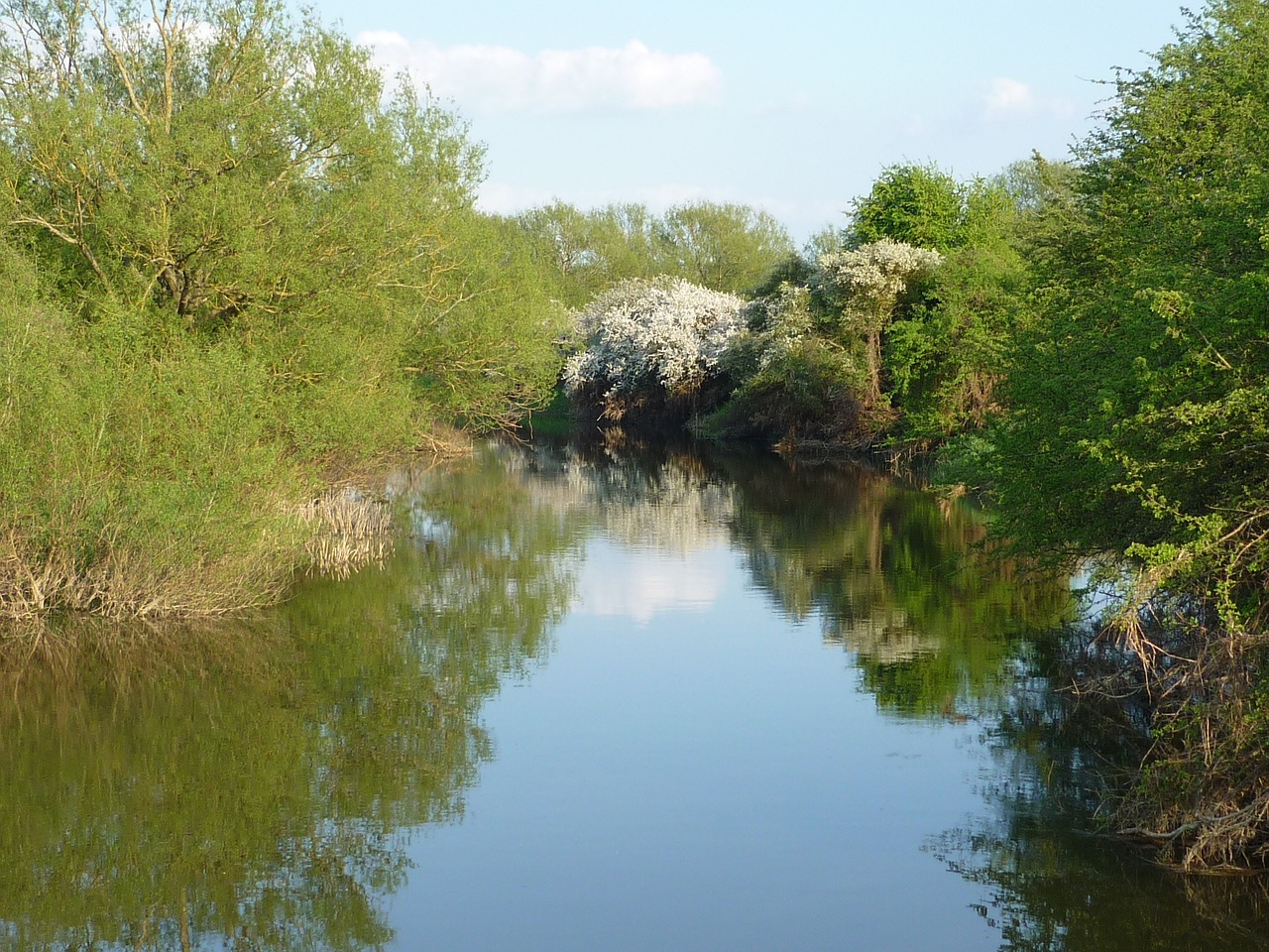 river cherwell oxfordshire nature free photo