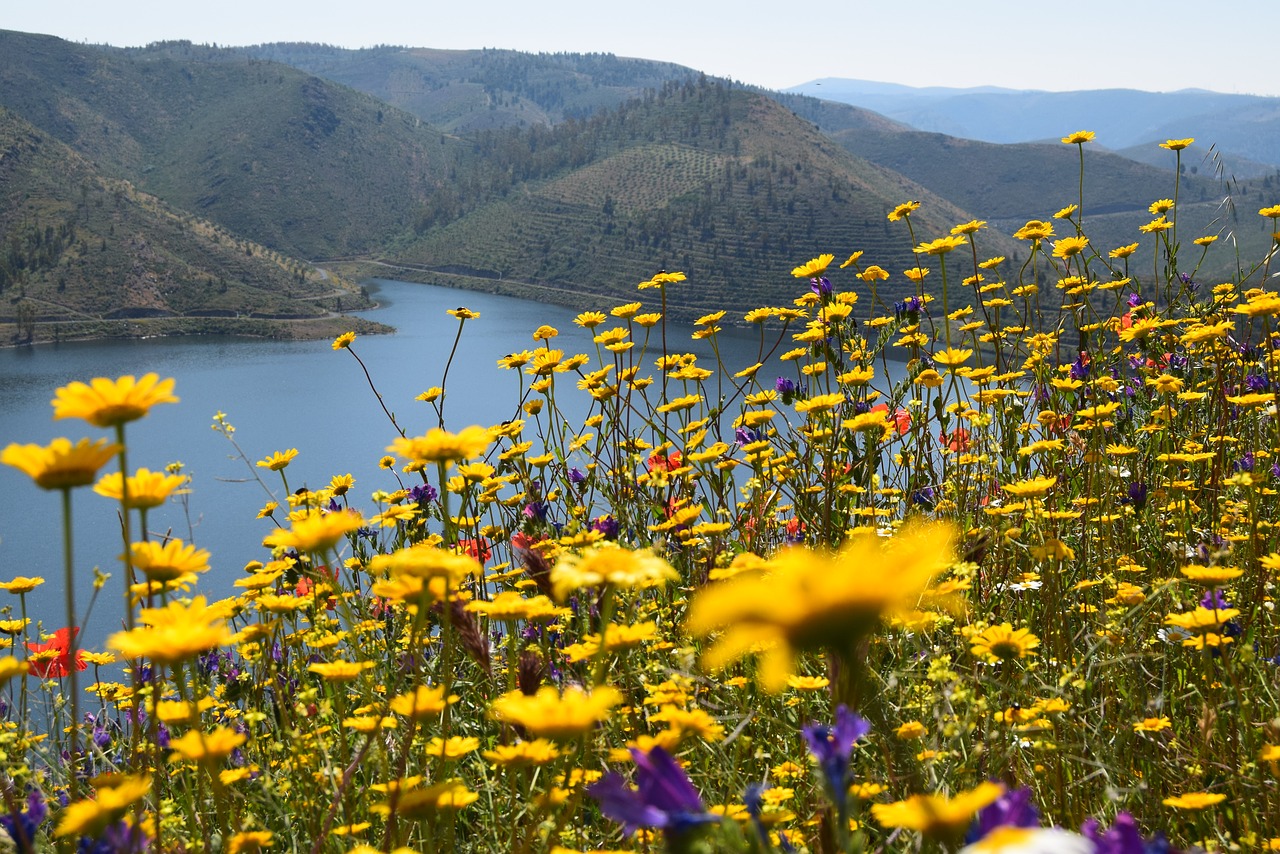 river douro  landscape  mountains free photo