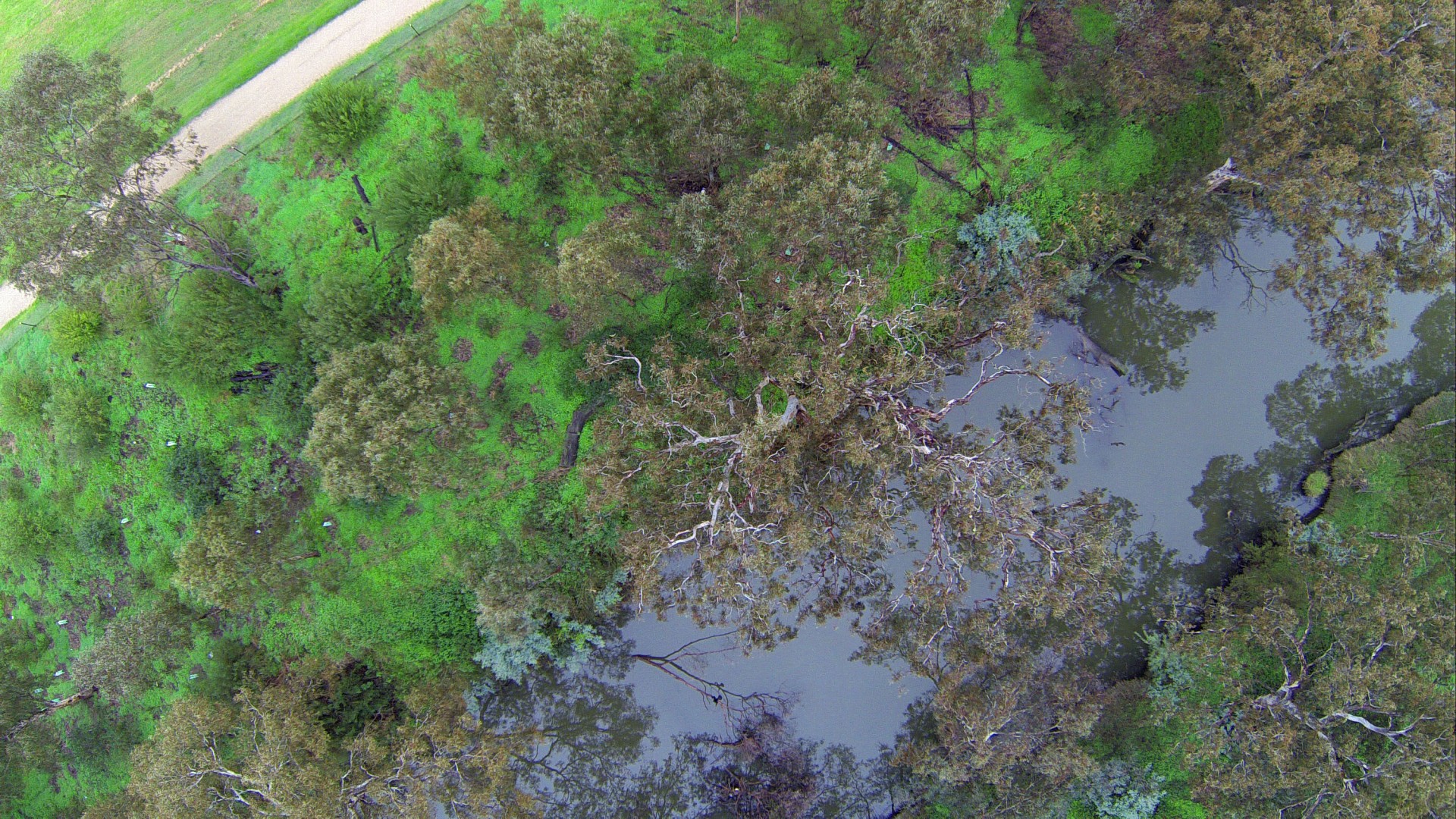 river aerial bush free photo