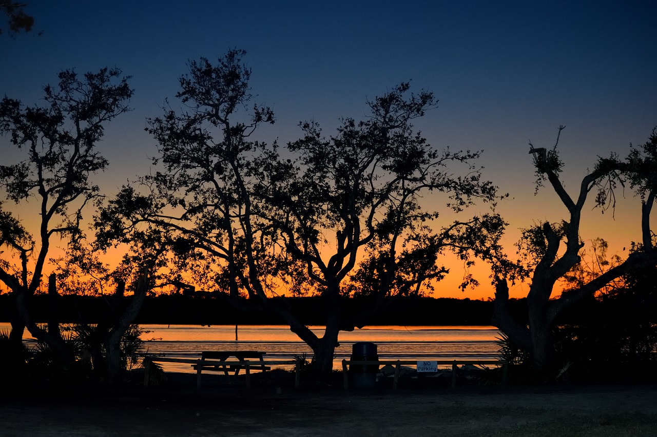 river front sunset silhouette free photo