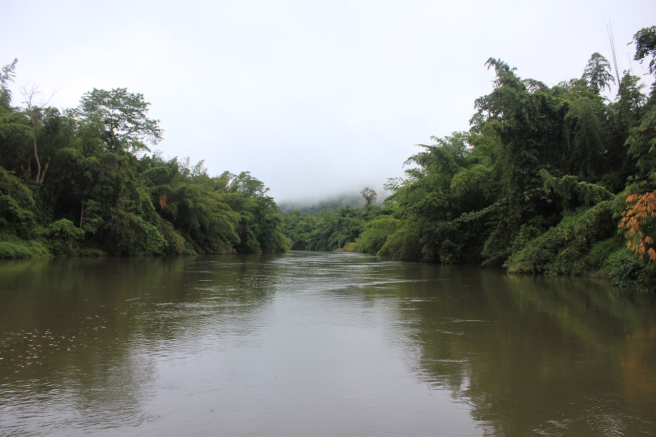 river in asia thailand jungle free photo