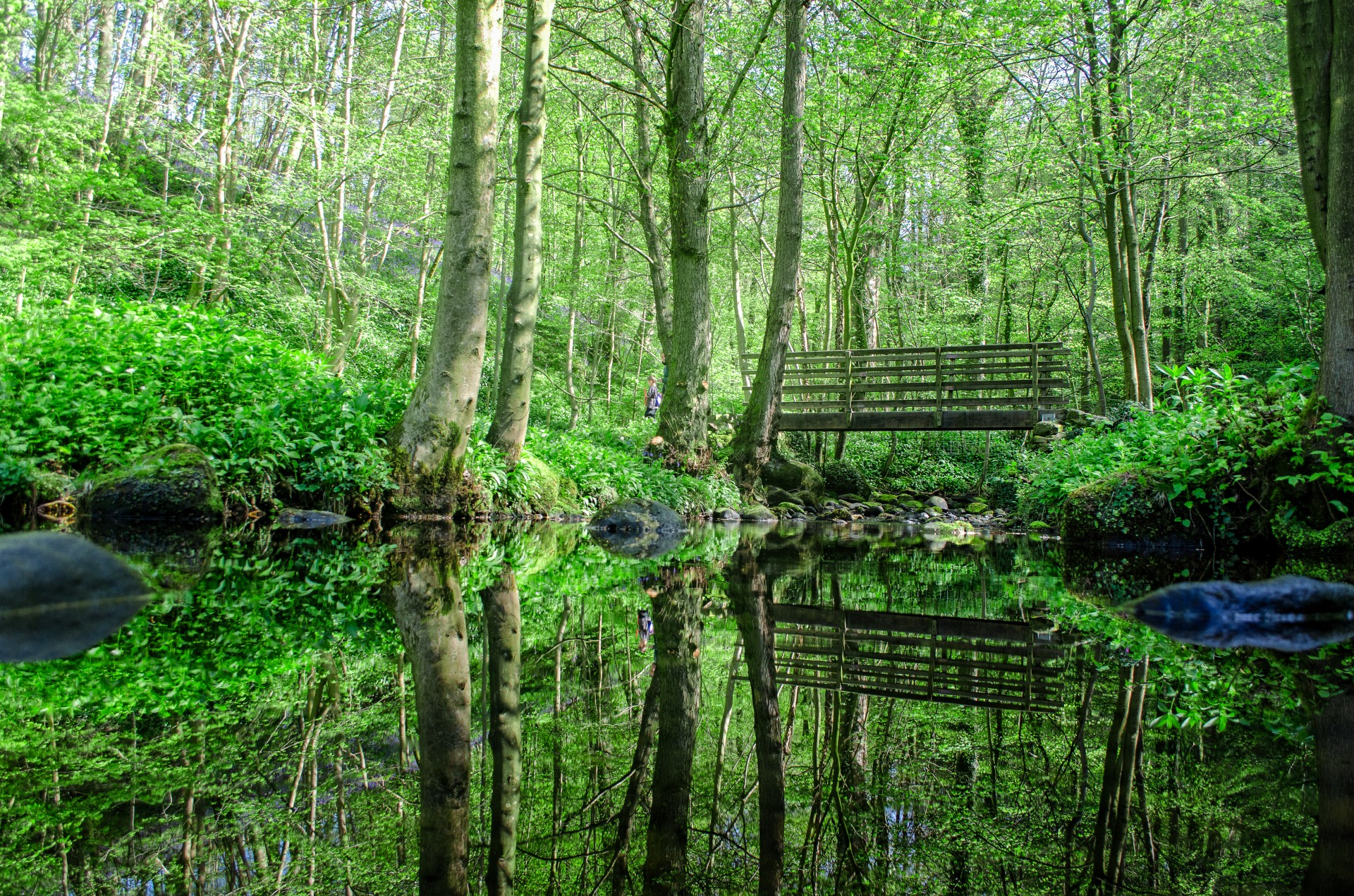 bridge cascade clean free photo