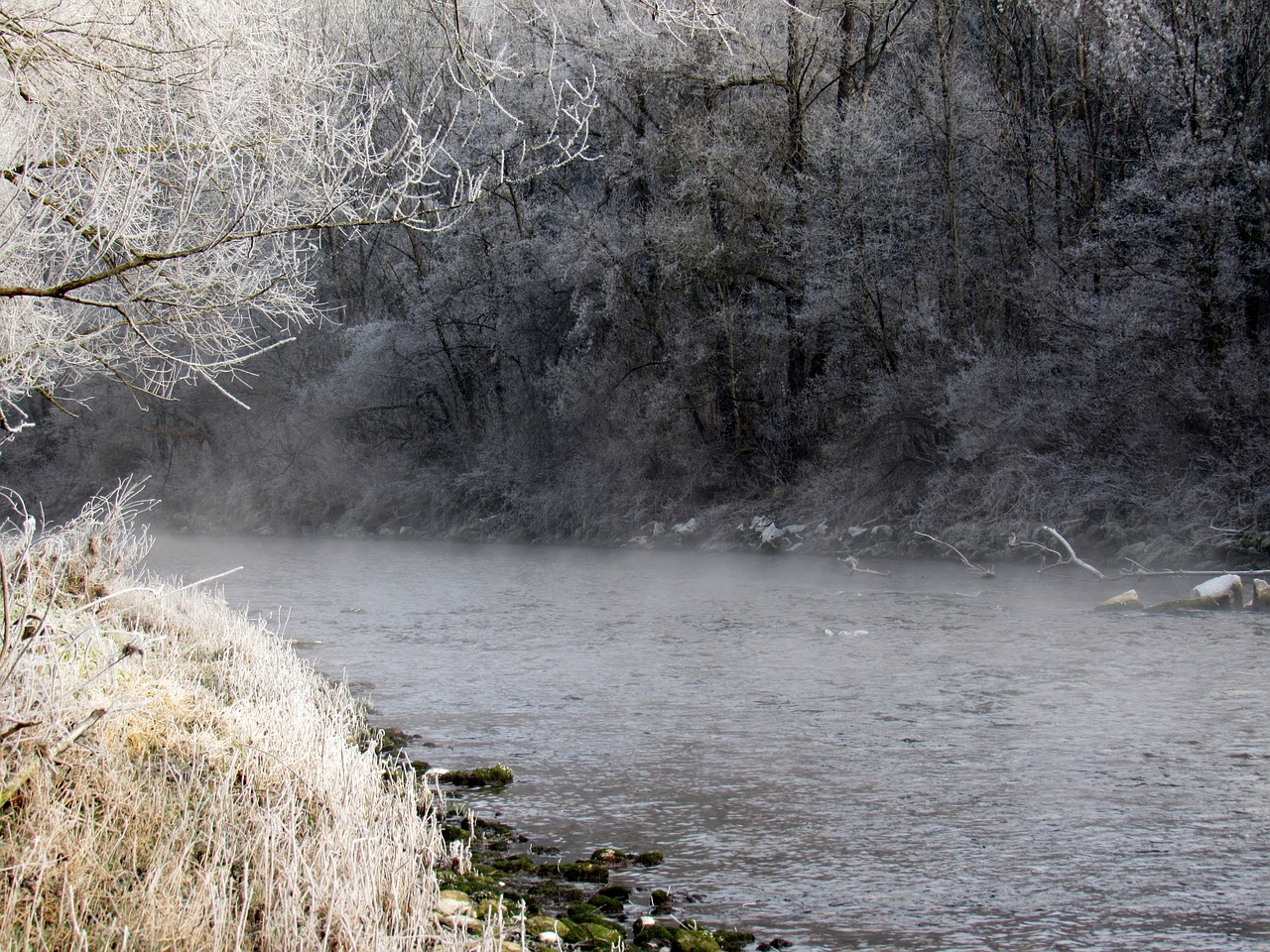 river landscape hoarfrost winter magic free photo