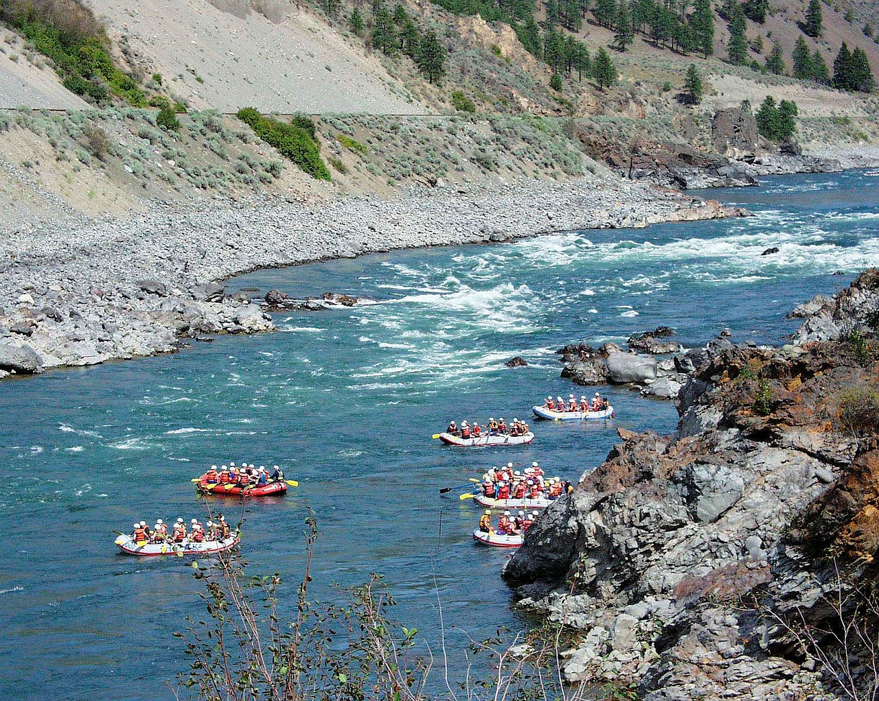 river rafting fraser river water free photo