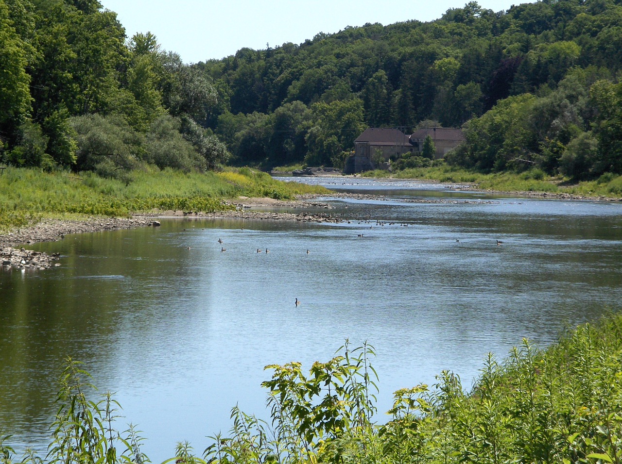 river forest park free photo