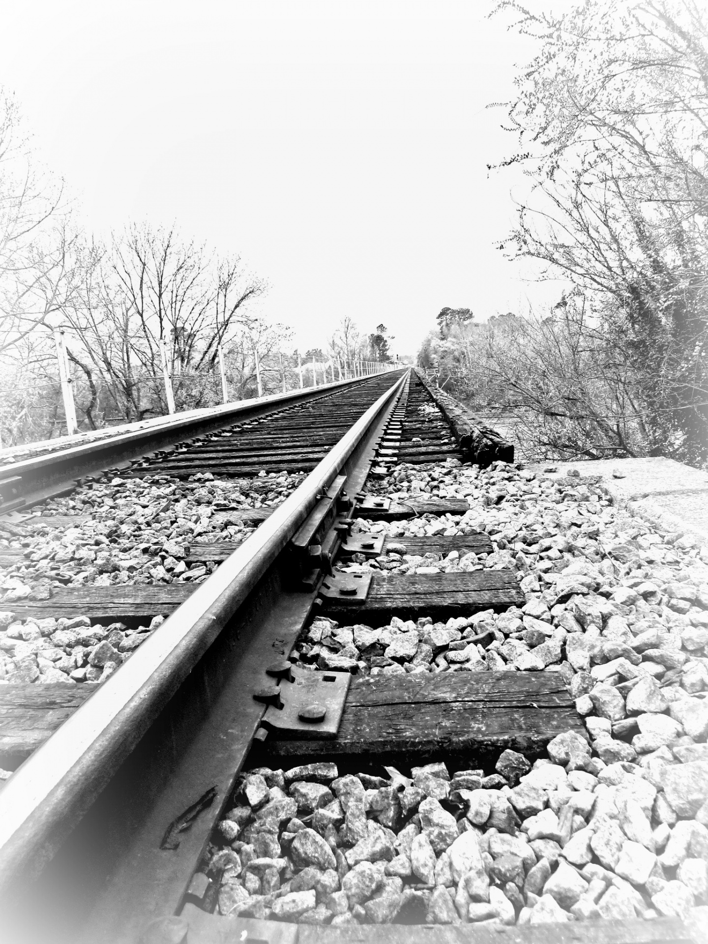 railroad tracks river tracks free photo