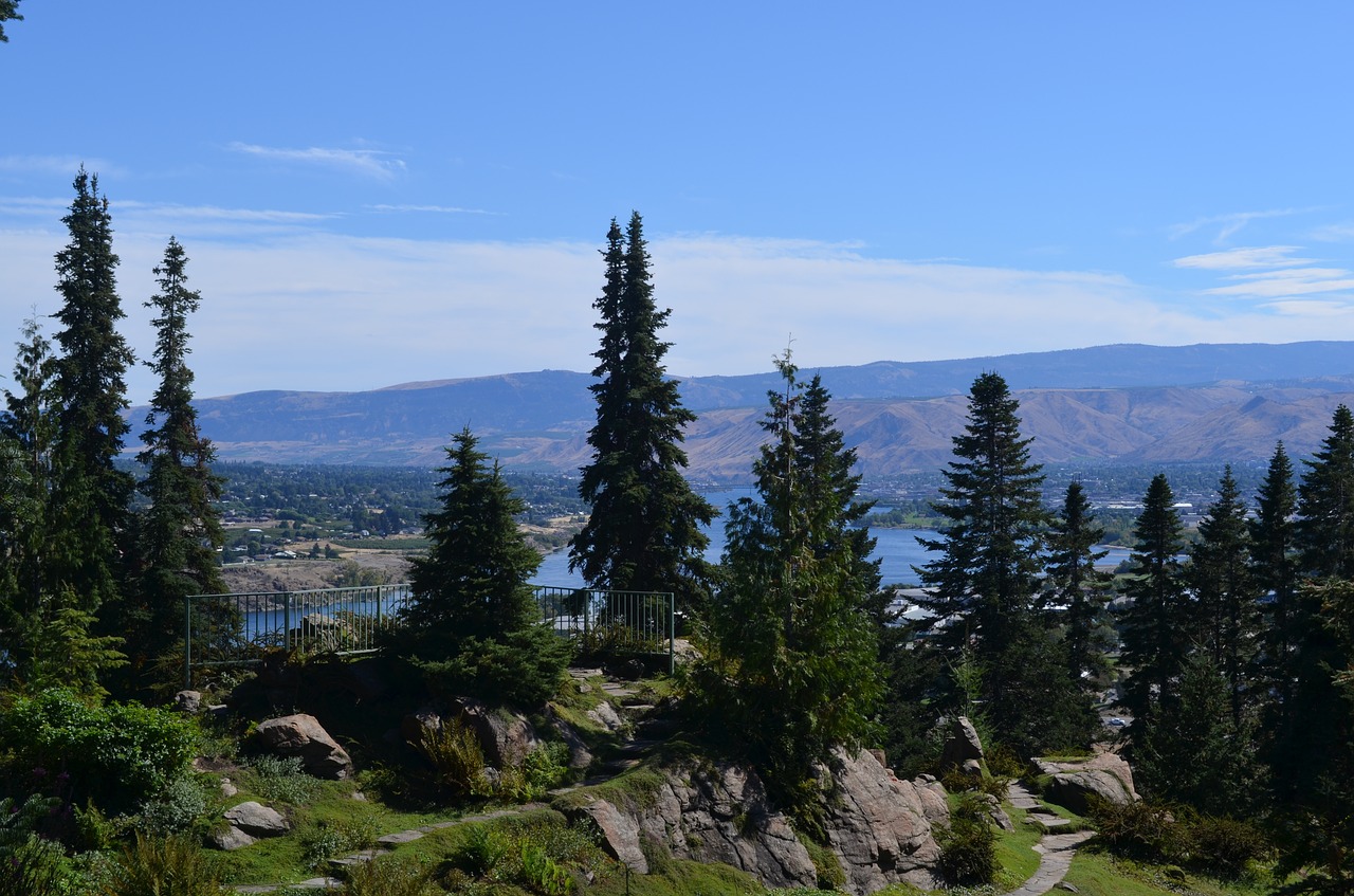 river view trees garden free photo