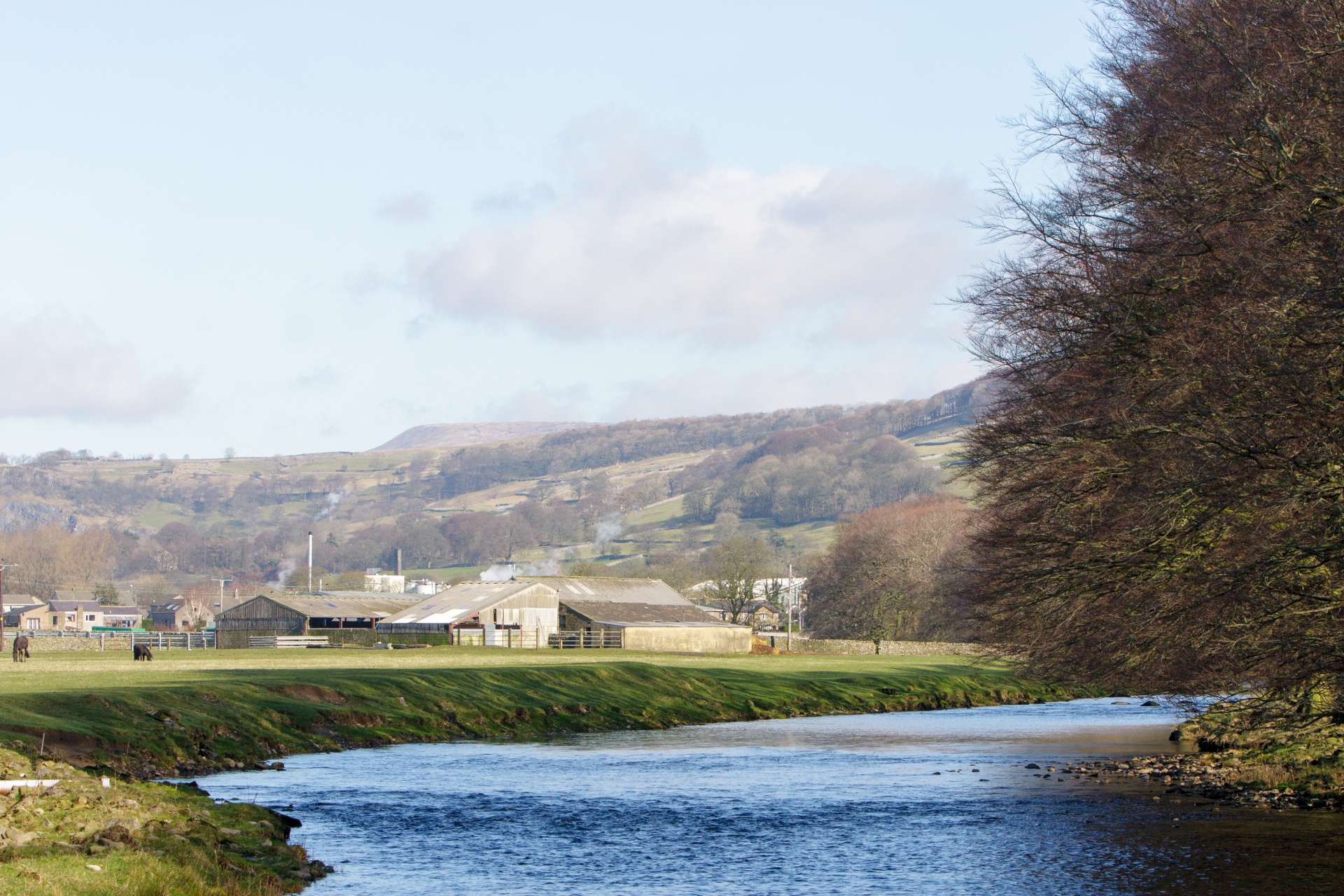 river water view free photo