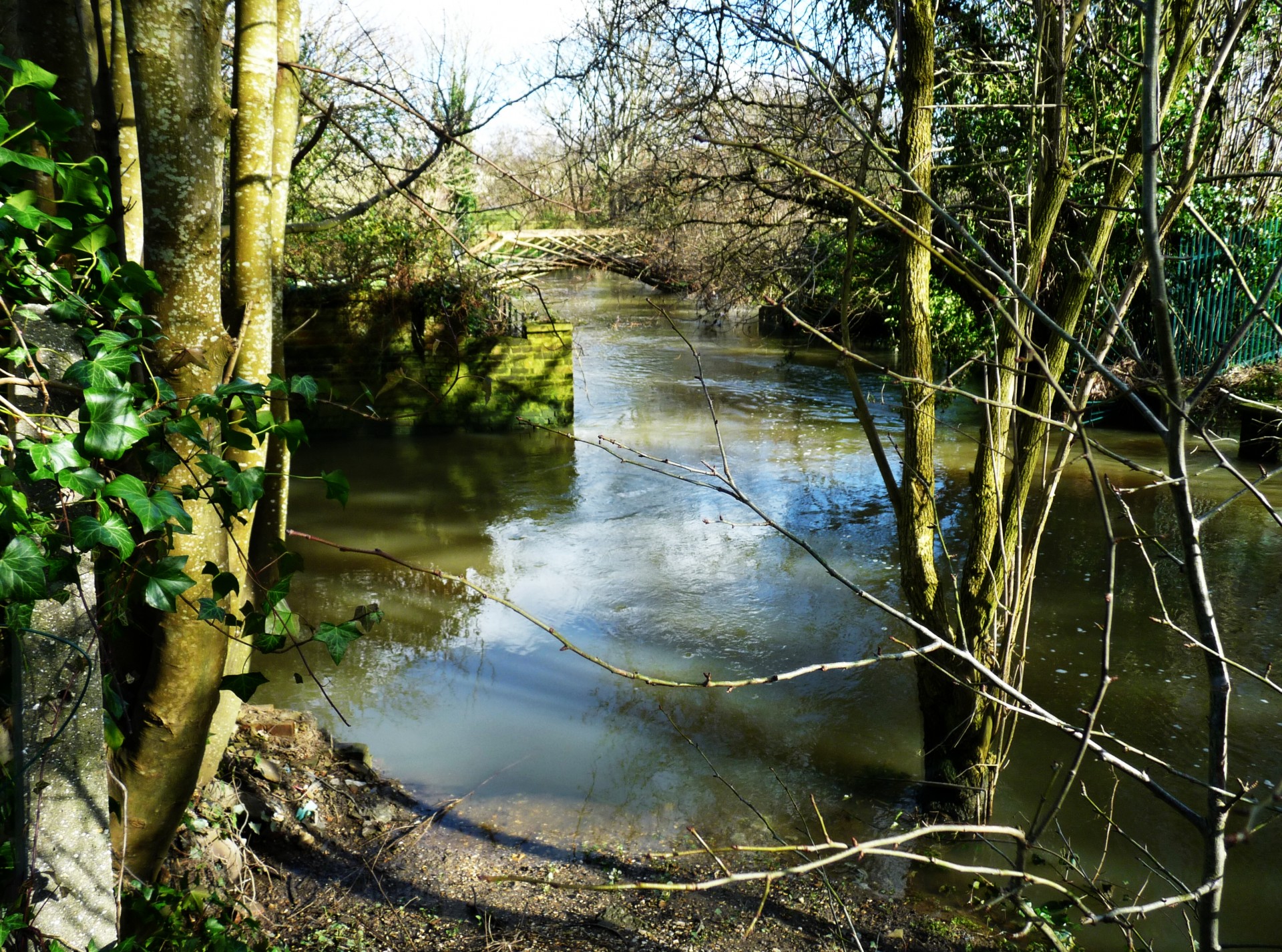 river bridge blandford free photo