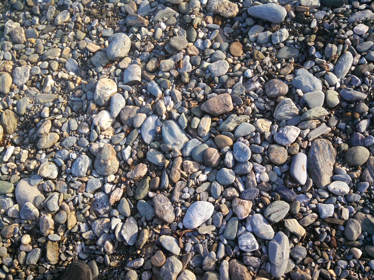 riverbank rocks stones free photo