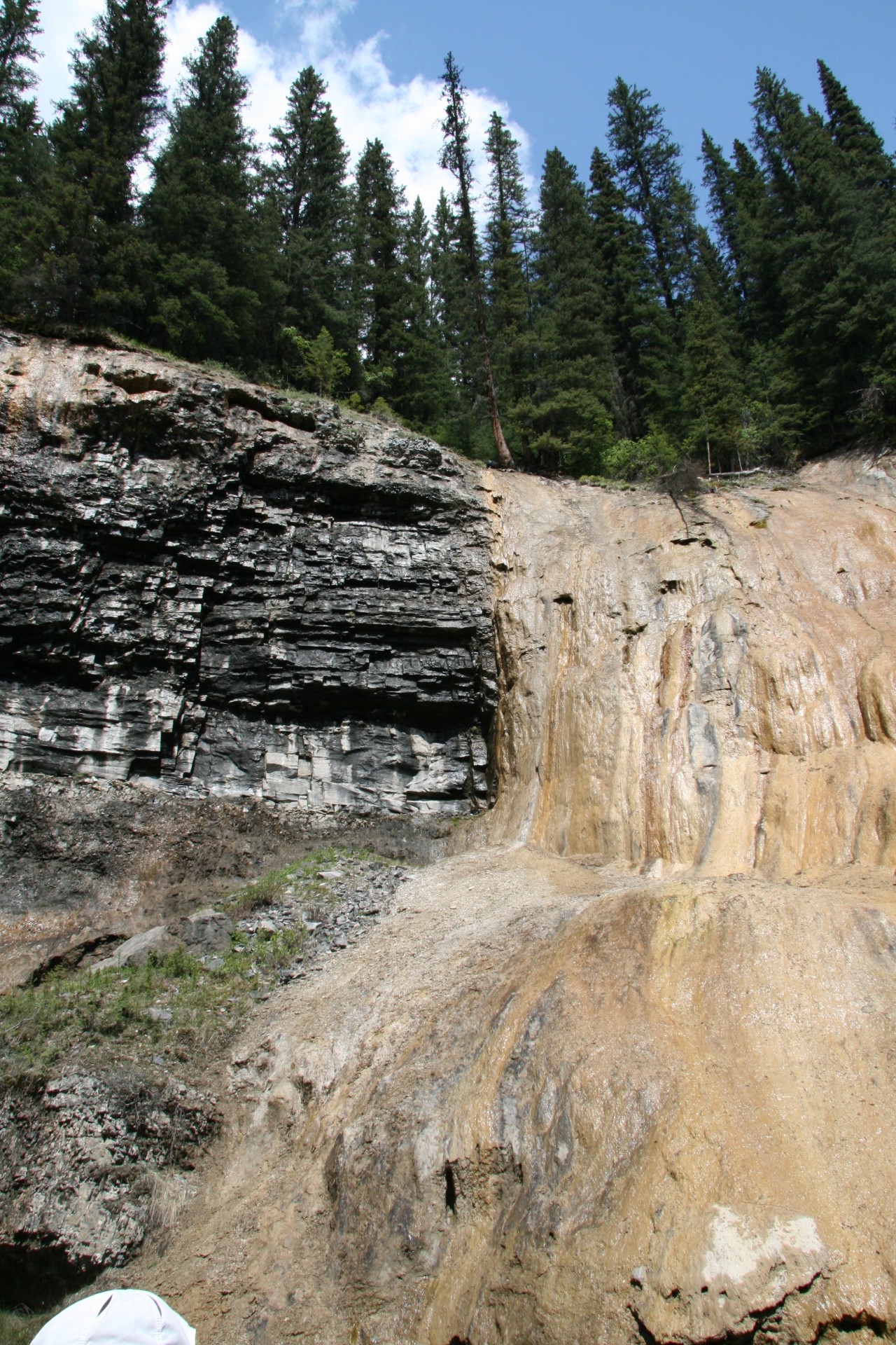 riverbank rock trees free photo