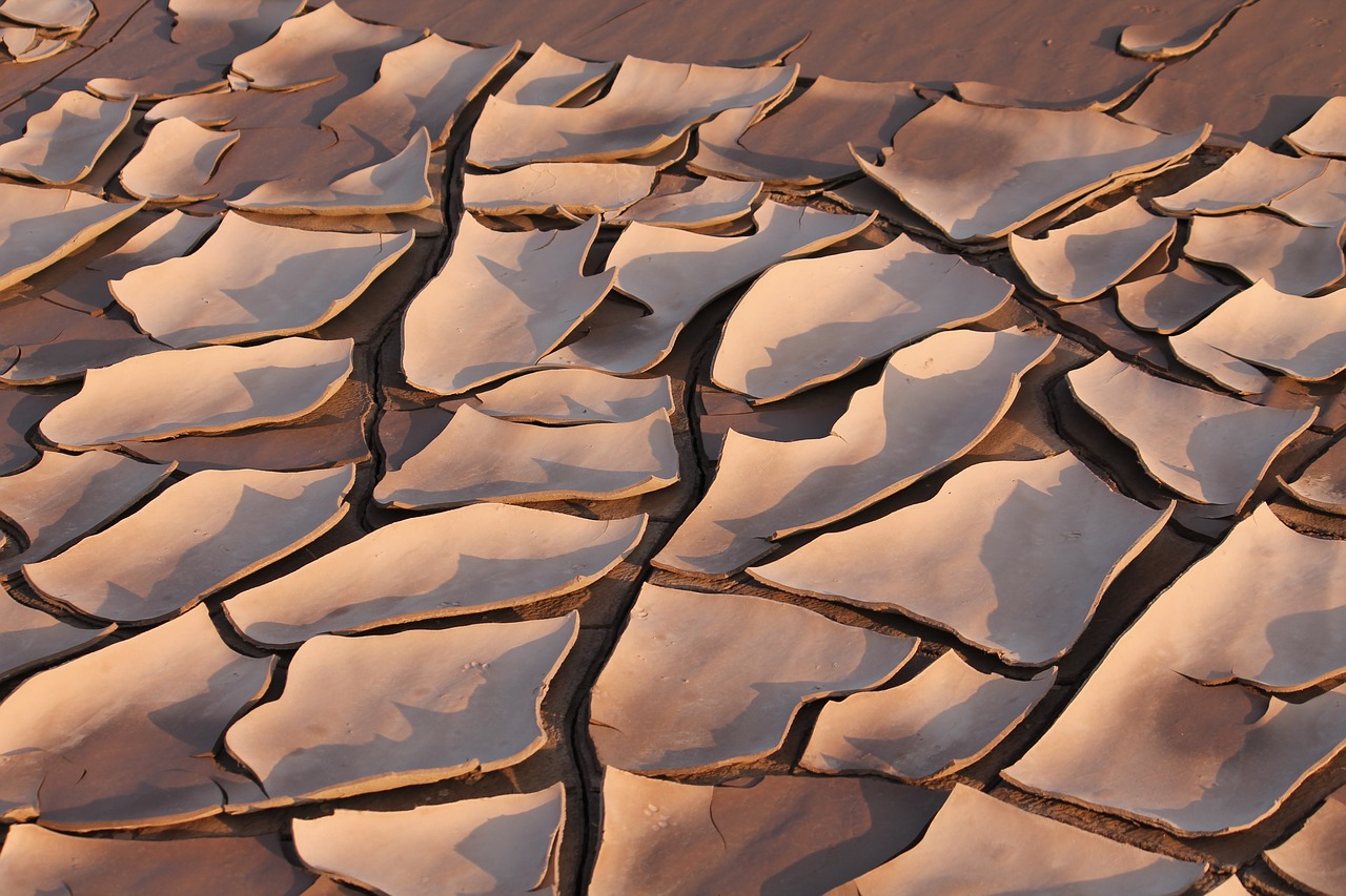 riverbed mud dried free photo