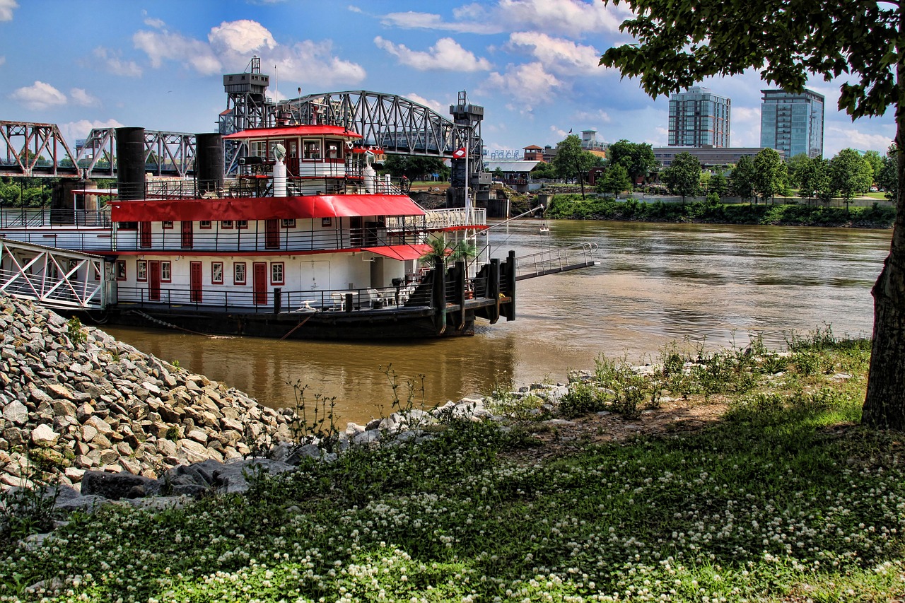 riverboat  river  bridge free photo