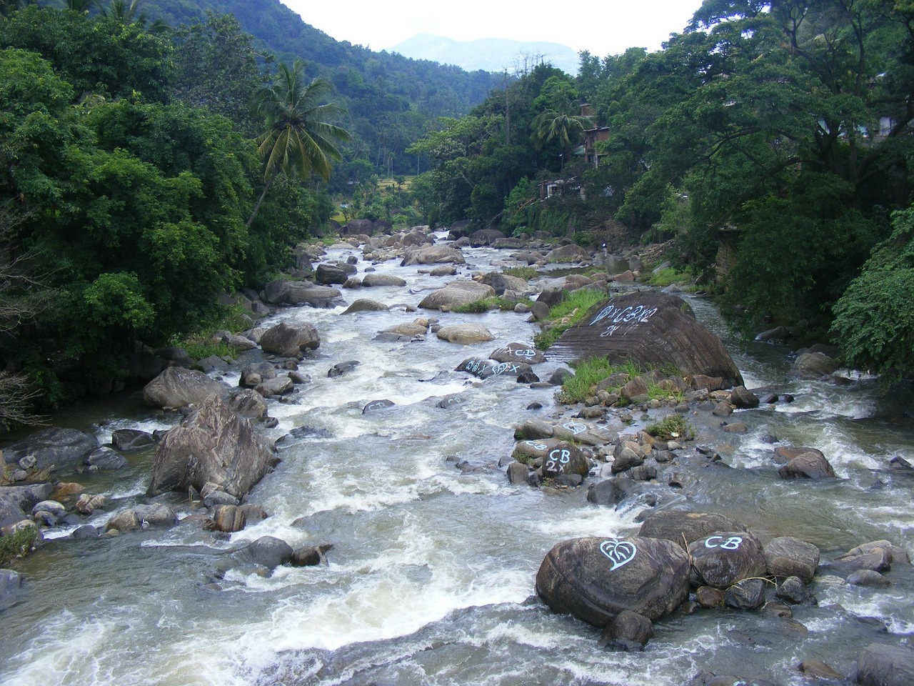 rivers water flowing free photo
