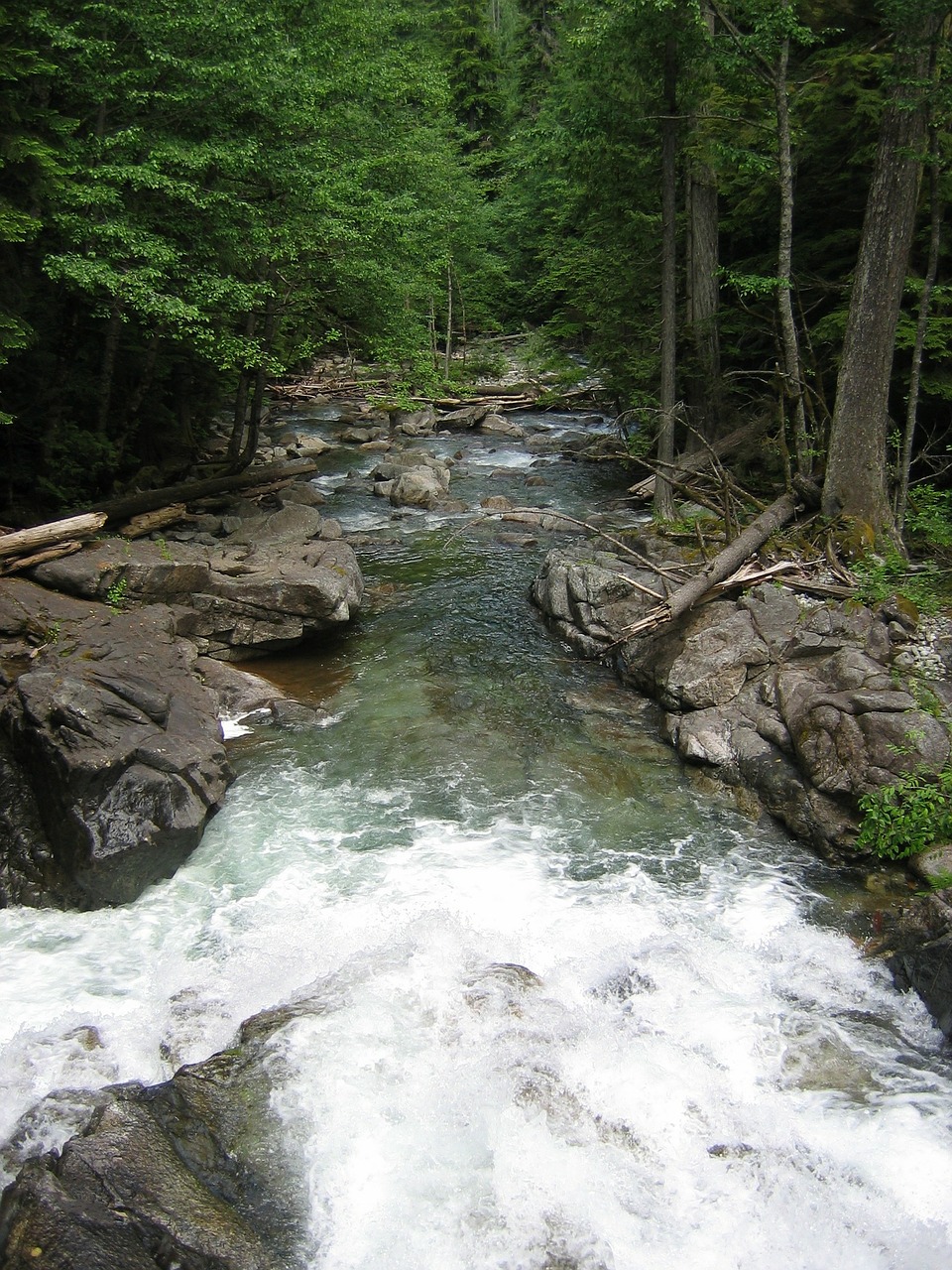 rivers streams water free photo