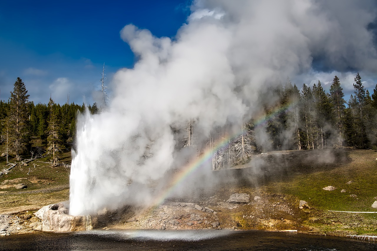 riverside geyser yellowstone national park free photo