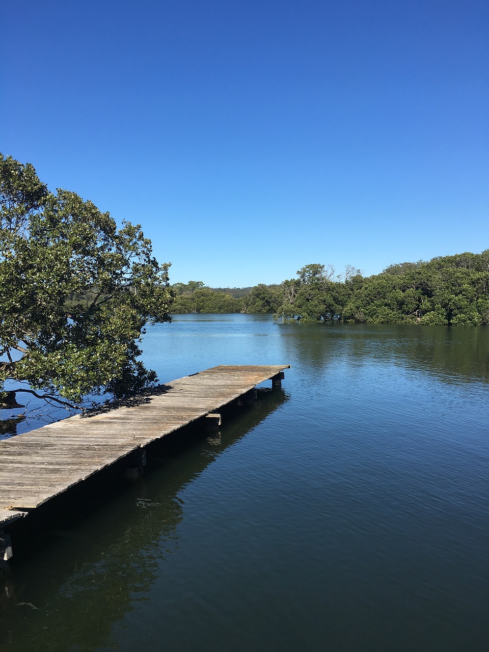 riverview blue sky pier free photo