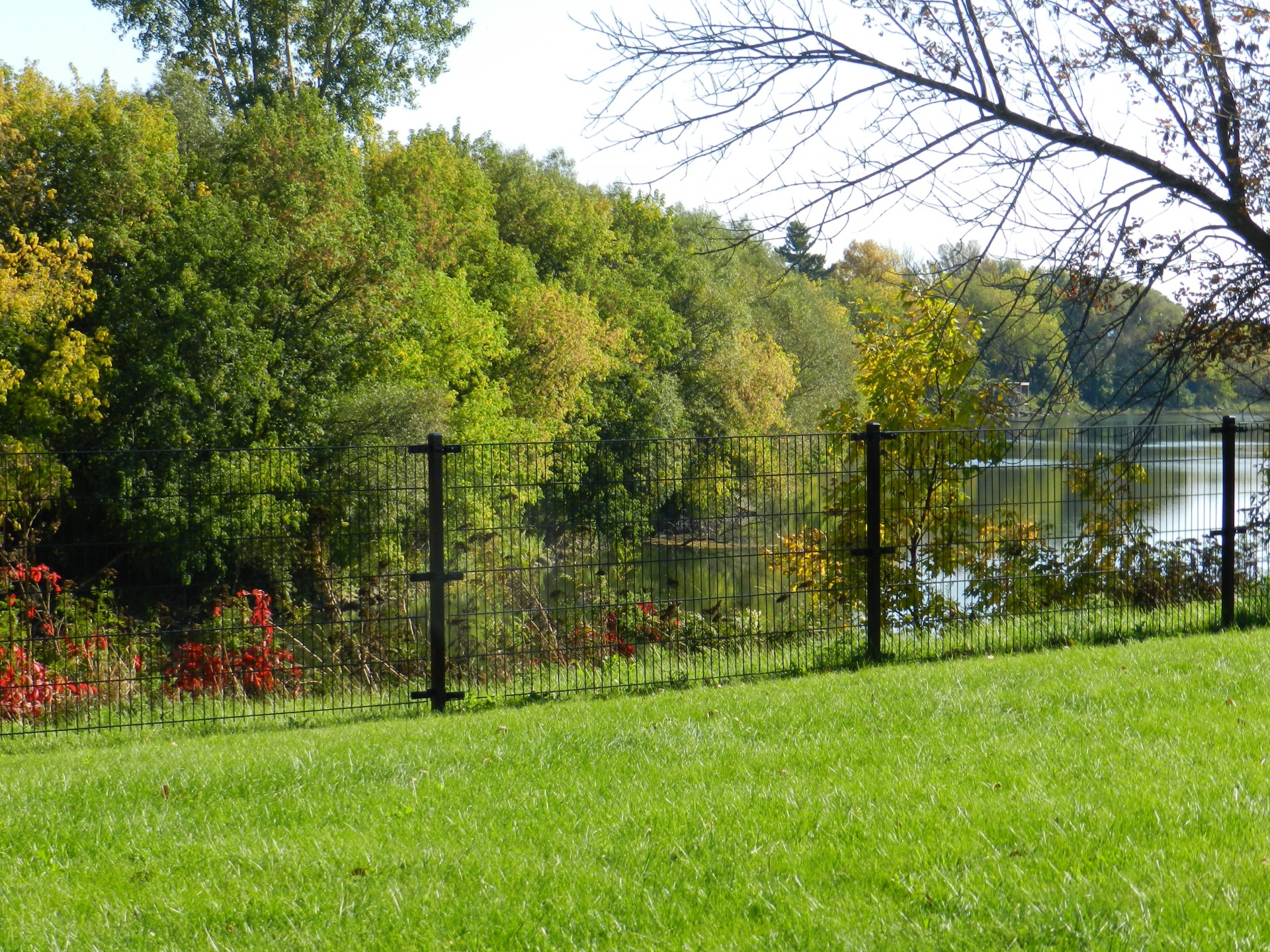 scenery waterfront river free photo