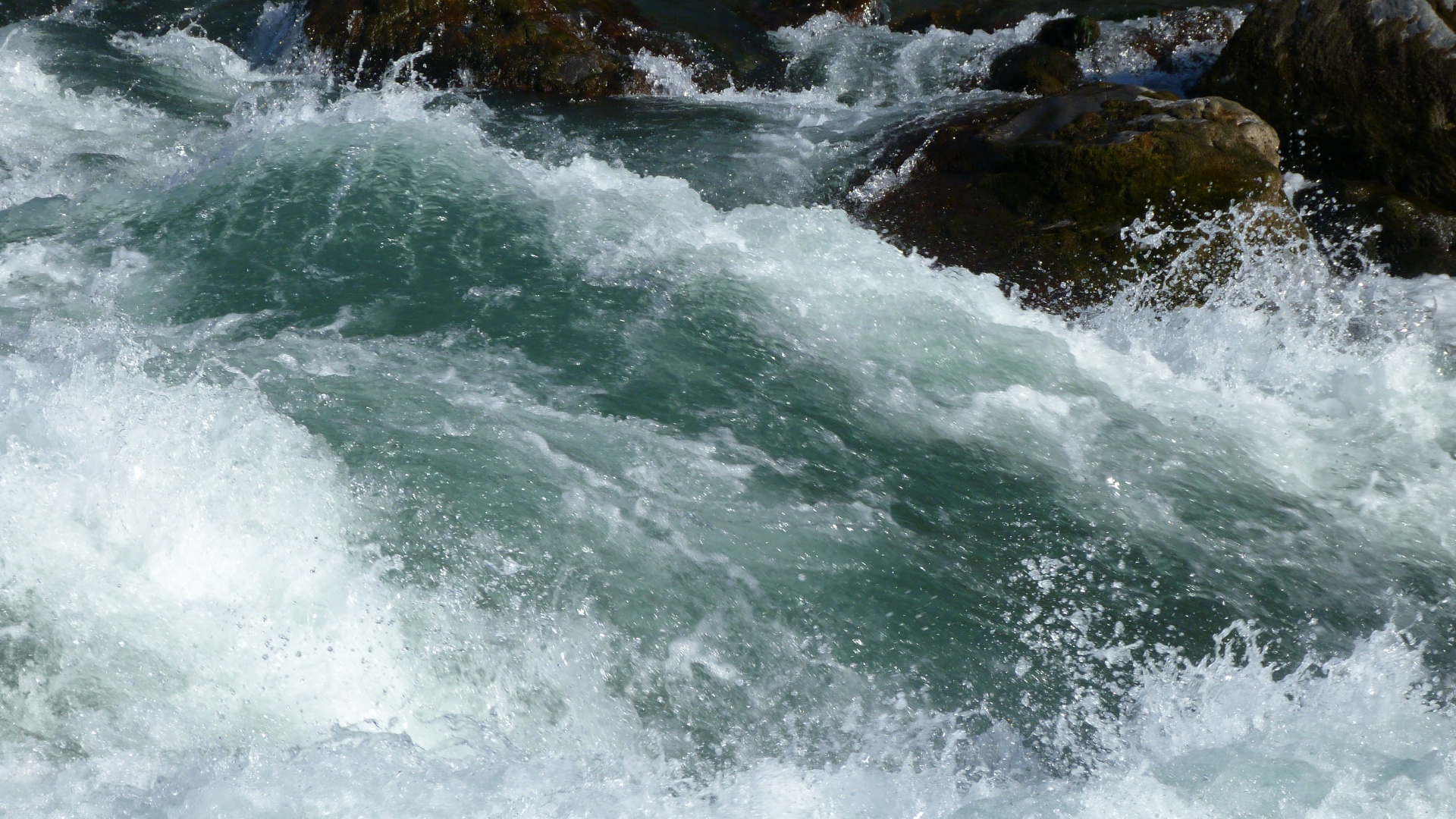 background river spring free photo