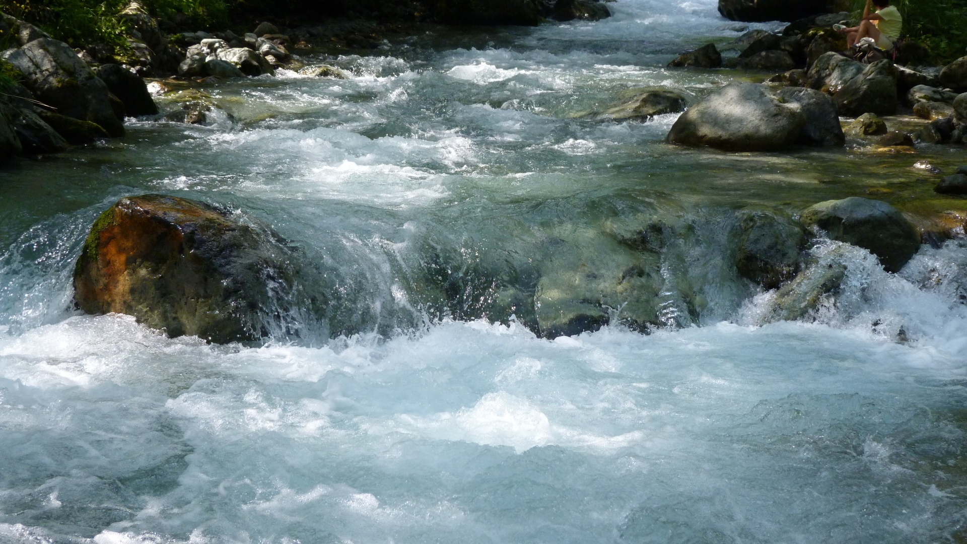 background river spring free photo