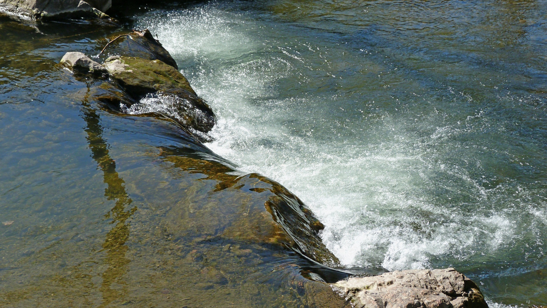 background river spring free photo