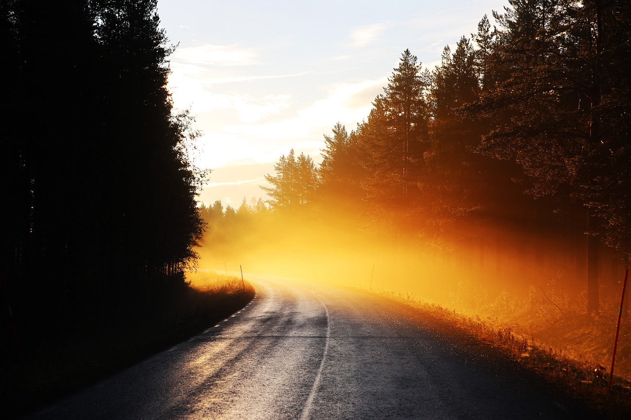 road mist sunrise free photo