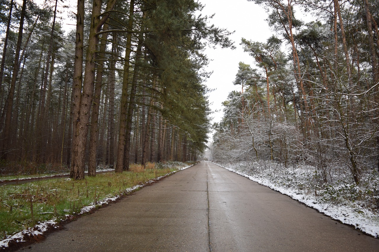 road snow winter free photo