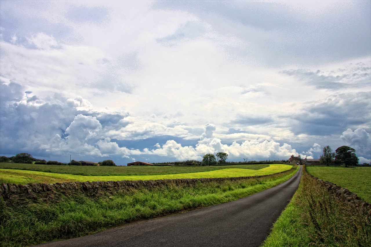 road countryside nature free photo