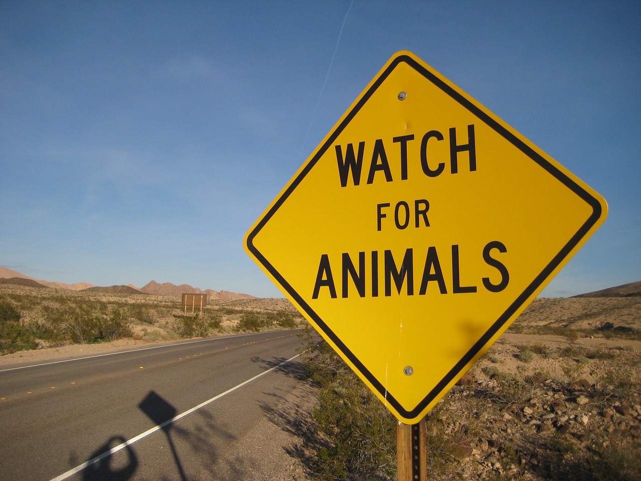 road animals sign free photo