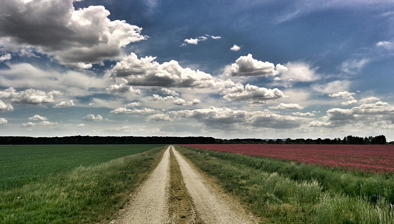 road countryside landscape free photo